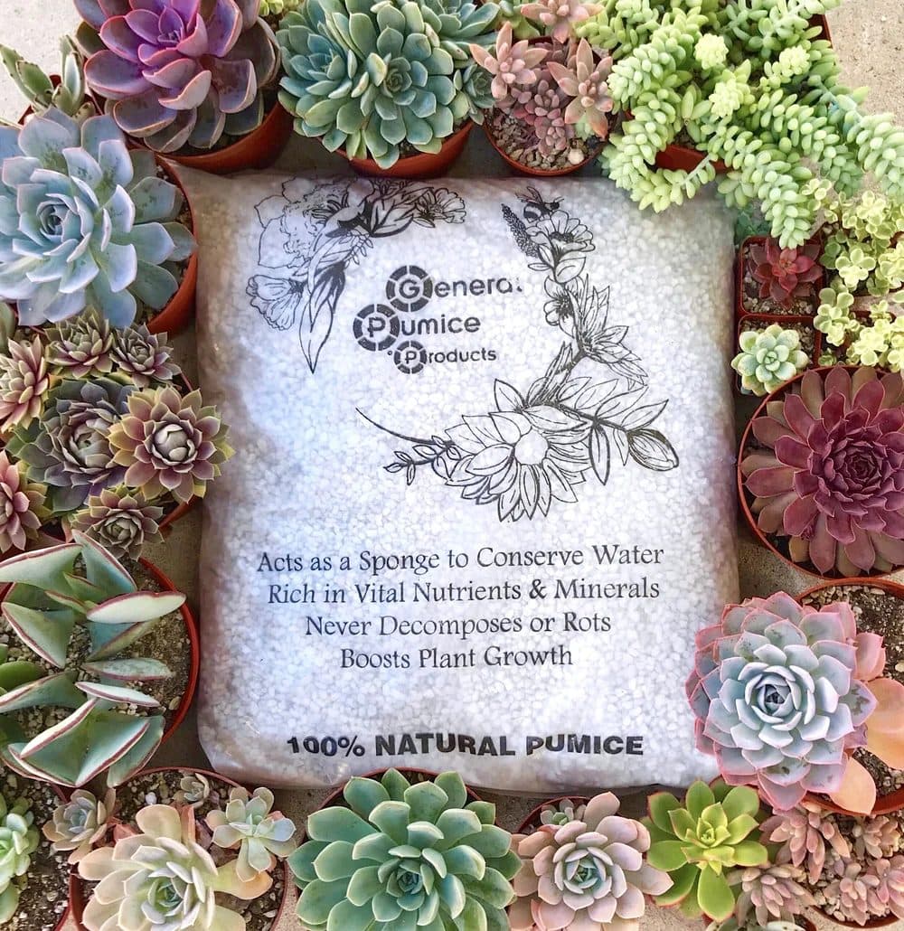 Horticultural pumice
