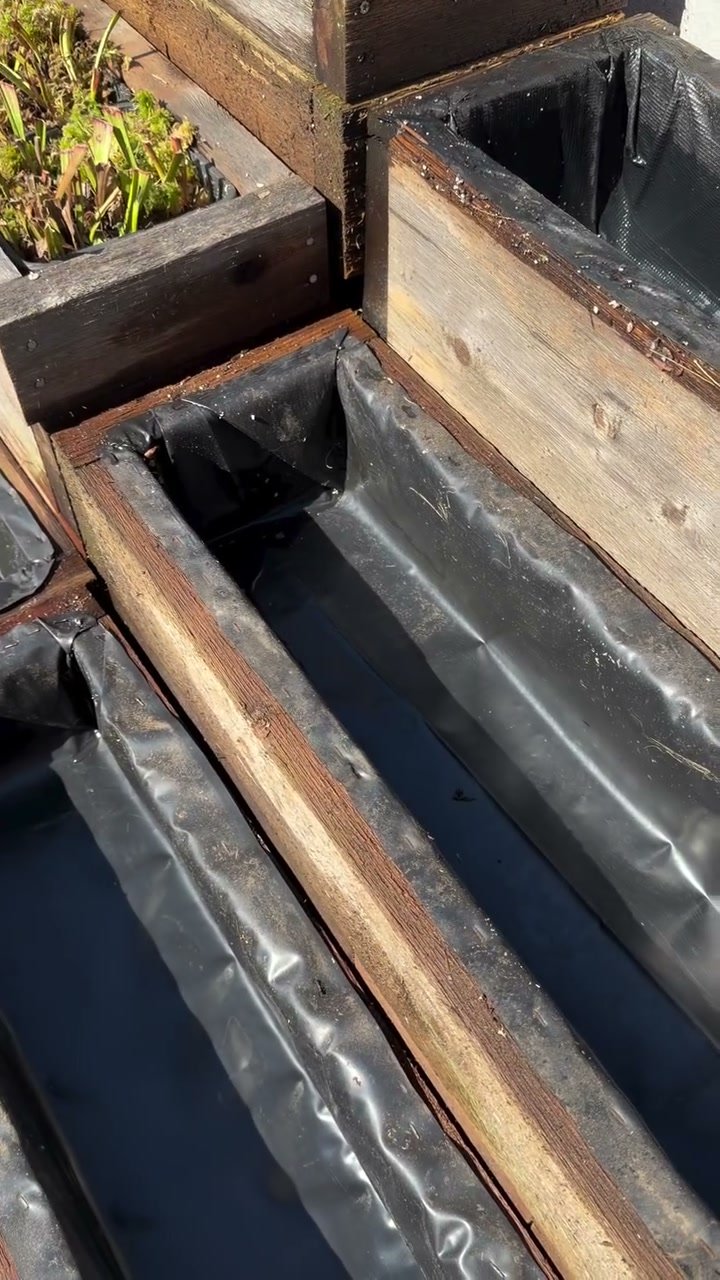 Empty cedar boxes lined with black pond liner
